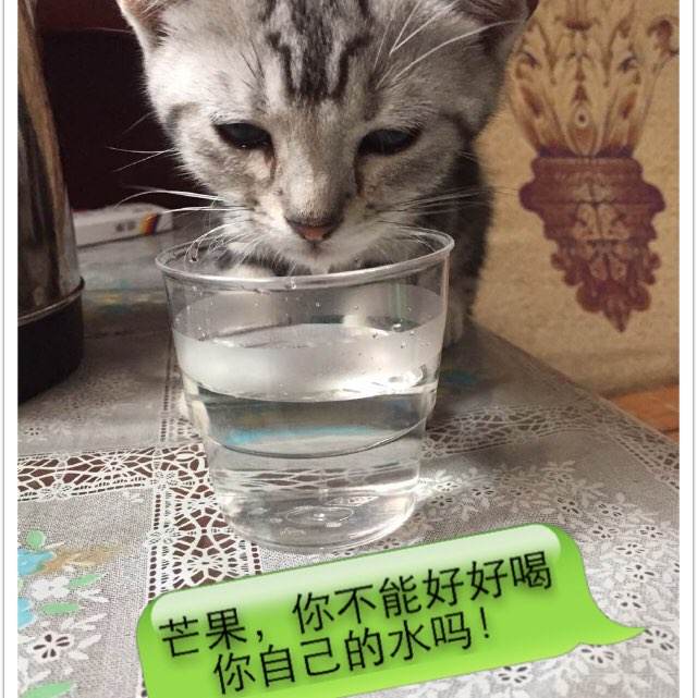 欧德翰母学院本科毕业证
